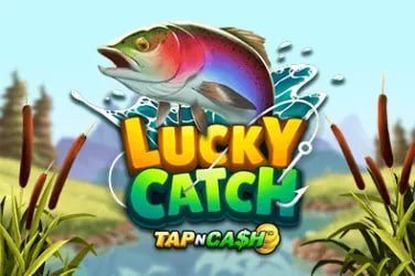 Live Casino at o89
